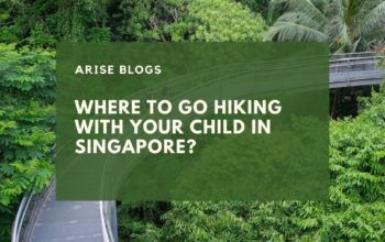 Where to go hiking with your child in Singapore?